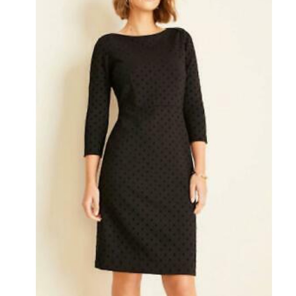 NWOT Velvet Dot Boatneck Sheath Dress